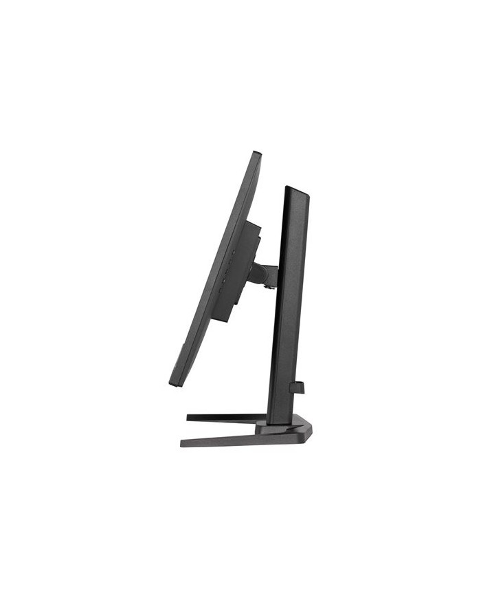 iiyama Gaming G-MASTER Red Eagle