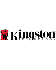 Kingston-Technology